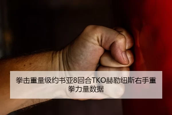 拳击重量级约书亚8回合TKO赫勒纽斯右手重拳力量数据